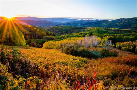 Fall In Love With Autumn In Steamboat Springs Sothebys International