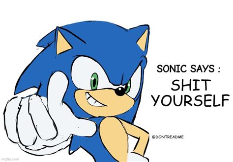 Sonic Says Imgflip