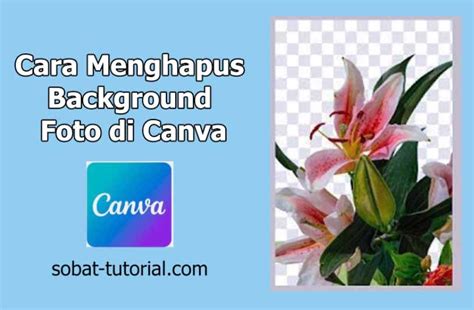 Cara Menghapus Background Foto Di Canva Sobat Tutorial