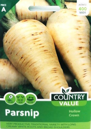 Parsnip Hollow Crown Seeds Irish Plants Direct