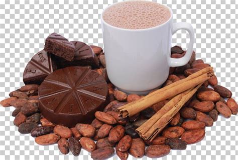 Cocoa Bean Tejate Theobroma Cacao Cocoa Solids PNG Clipart Cacao