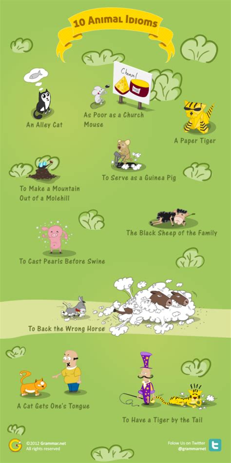 10 Animal Idioms and Their Meanings | Grammar Newsletter - English ...