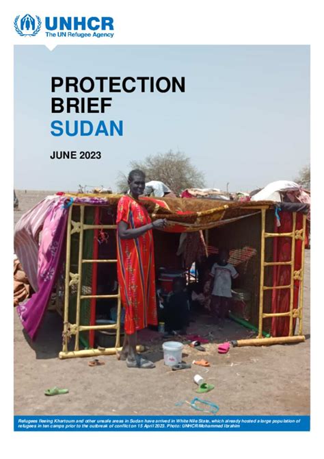 Document Unhcr Protection Brief Sudan June