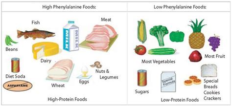 Foods not allowed in PKU Diet - Care.com Resources