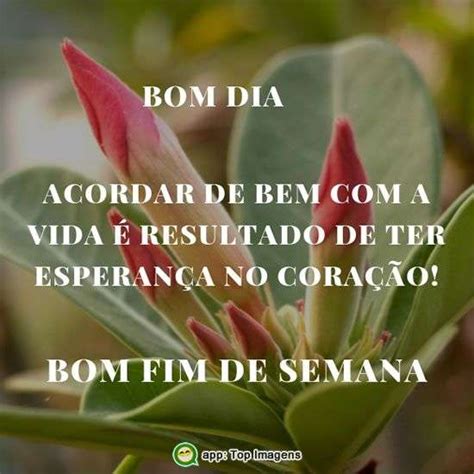 Bom Dia Top Imagem 10658