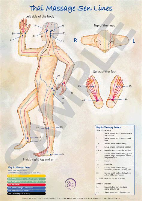 Thai Massage Sen Line Posters With Therapy Points