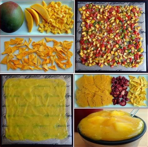 Guide To Dehydrating Mango With Recipes