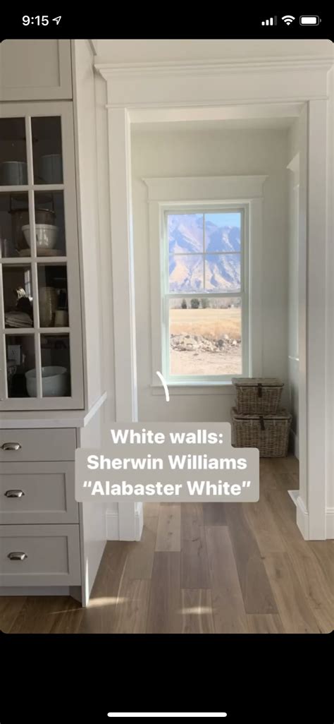 Walls = Alabaster White (SW) | House color palettes, White walls, Cabin ...