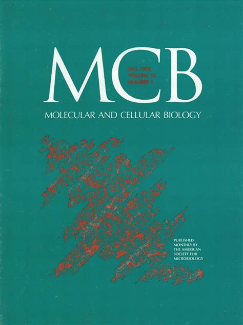 The General Transcription Factor Rap Binds To Rna Polymerase Ii And