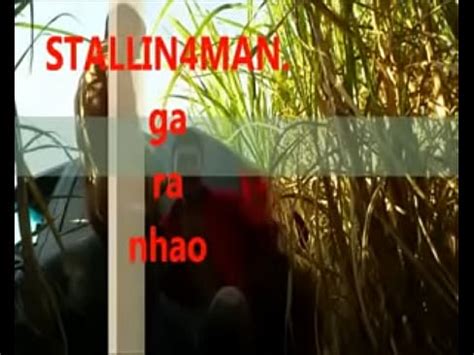 Sexo Hétero no Canavial Amador XVIDEOS