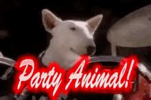 Party Animals GIFs | Tenor