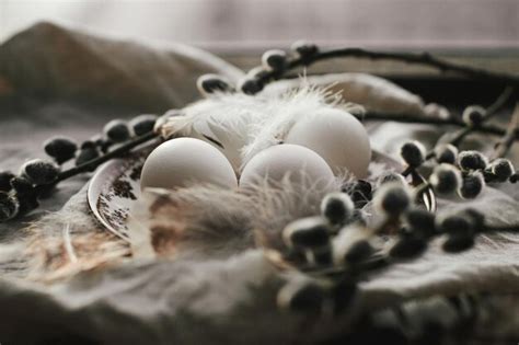 Premium Photo Rustic Easter Still Life Natural Egg In Nest With Feathers Vintage Plate Pussy