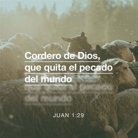 S Juan 1 29 El Siguiente Día Vio Juan A Jesús Que Venía A él Y Dijo He Aquí El Cordero De