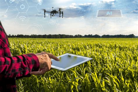 O Avanço e as Aplicações da Inteligência Artificial no Agronegócio DataEX