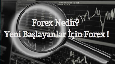 Forexte Ticaret Nasıl Yapılır Yeni Başlayanlar İçin Bilgiler Borsa