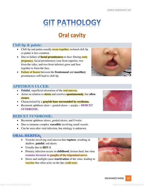 Solution Git Pathology Slides For Dr Ahmad Shebl With Notes Studypool