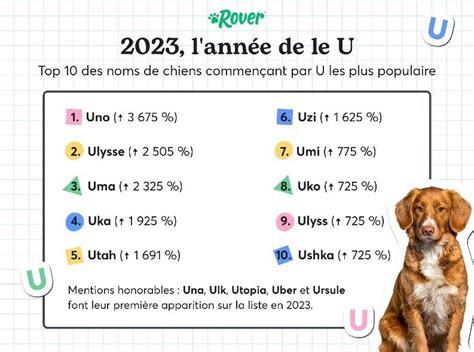 Nala Rio Simba Quels Sont Les Noms Les Plus Populaires De 2023