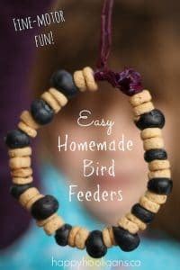 Bird Feeders Made With Cheerios And Berries Happy Hooligans