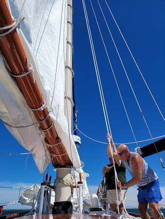 Schooner Bay Lady Ii Provincetown Lo Que Se Debe Saber Antes De