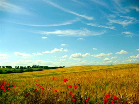 Lovely landscape from Rivne, Ukraine [OC] [3264x2448] : r/EarthPorn