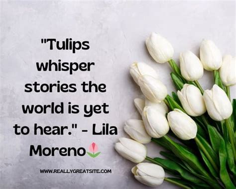 Tulip Captions For Instagram Perfect Bloom Of Words