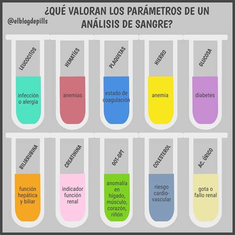 Qué valoran los parámetros de un análisi de sangre elblogdepills