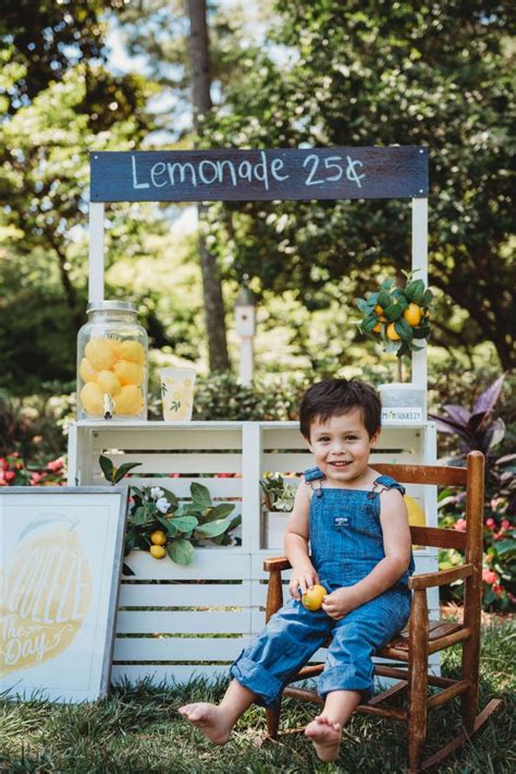 Lemonade Stand Minis Sweet Summer Mini Session