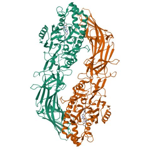 RCSB PDB 8GOD Co Crystal Structure Of Human Protein Arginine