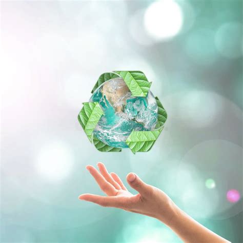 Waste Recycle Management Eco Friendly Go Green Ecology Concept With