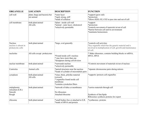 Plant Cell Organelles And Functions Chart Chart Of Cell Organelles