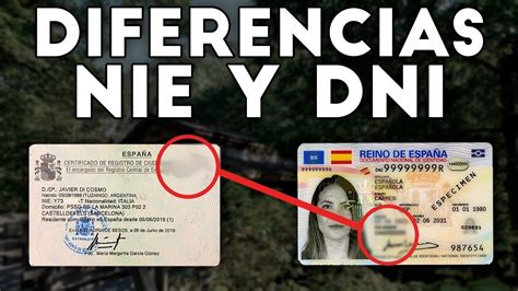 Cu L Es La Diferencia Entre Nie Y Dni Explicaci N F Cil Youtube