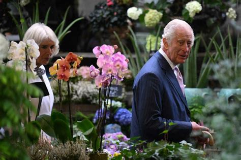 Le roi Charles III visite le marché aux fleurs de l île de la Cité