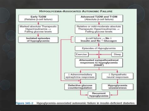 Hypoglycemia Assessment And Treatment