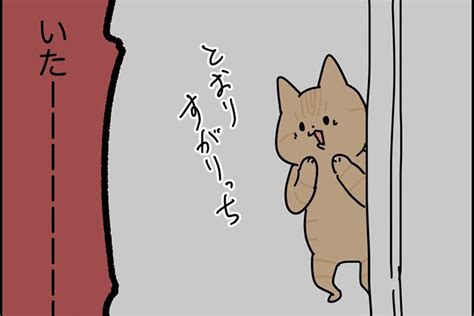 愛猫に噛まれて大変なことに注意喚起する実体験漫画に共感続々 「猫のしもべ あるある 」 Hint Pot 2