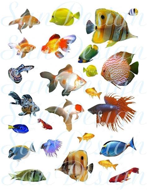 Fish 1 Digital Collage Sheet No 115