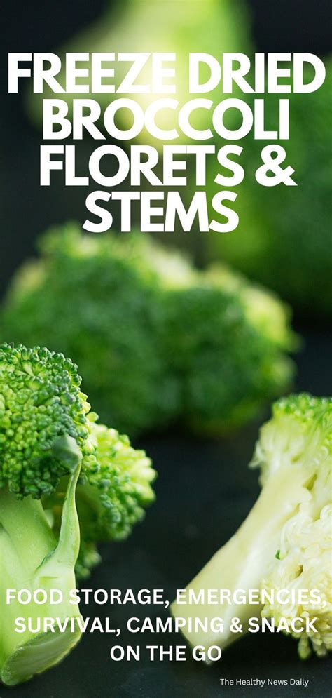 Freeze Dried Broccoli Florets Long Shelf Life And Versatile