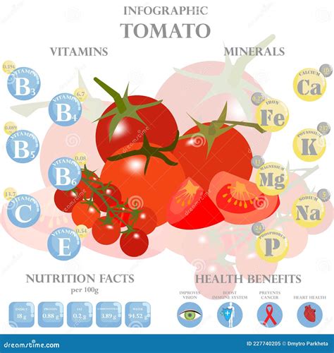 Health Benefits And Nutrition Facts Of Tomato Infographic Vector