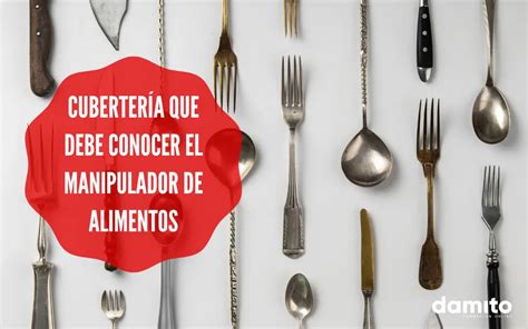 Cuberter A Que Debe Conocer El Manipulador De Alimentos