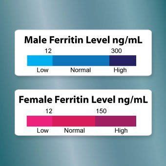 Ferritin Level Chart: A Visual Reference of Charts | Chart Master