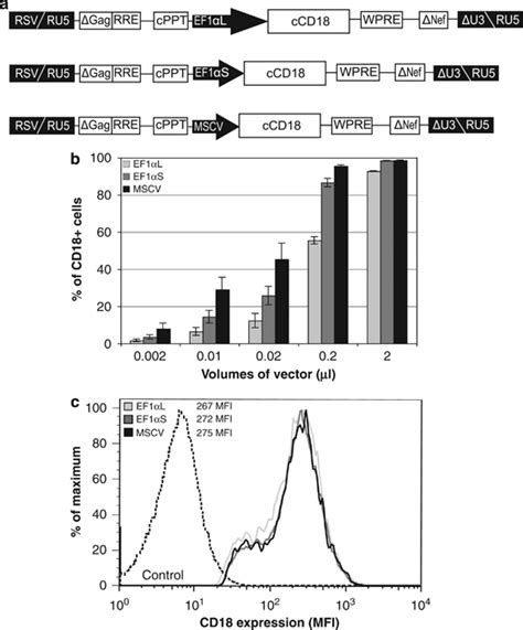 Construction And Testing Of Lentiviral Vectors A Schematic Of The