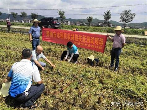 贺州旱改水新丰景 国稻种芯·中国水稻节：广西改出乡村振兴 知乎