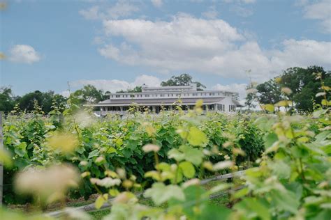 Our Vineyard — Upper Shirley Vineyards Richmond Virginia Winery