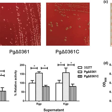 Characterization Of The Mutant Pg Strain A The Colonies Of