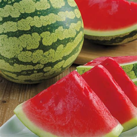 Gurney S Delight Improved Hybrid Watermelon Gurney S Seed