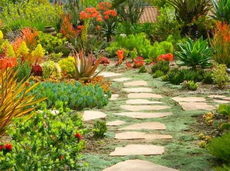 A Terrific Mediterranean Garden With Color And Texture