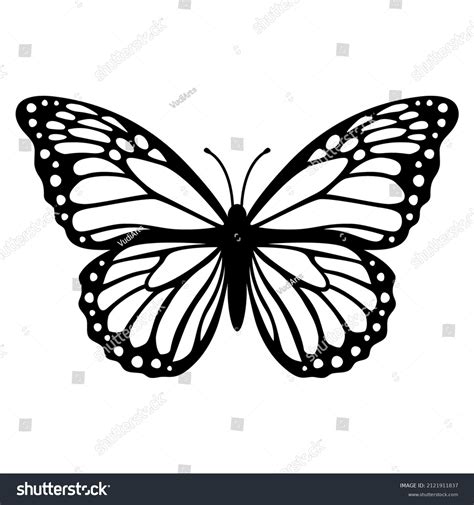 Monarch Butterfly Silhouette Vector Illustration Isolated Stock Vector