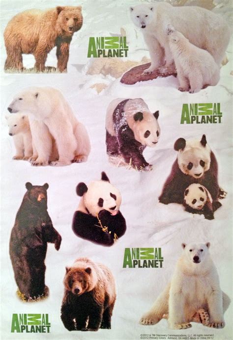 Animal Planet Bear Stickers