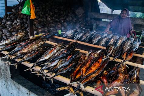 Mengintip Pembuatan Ikan Cakalang Fufu Di Pulau Bacan Antara News