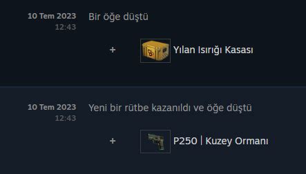 Cs Go Kasa D Rme Mant Nas L I Liyor Technopat Sosyal