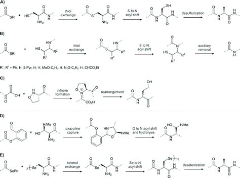 Ligation Methods Used In Chemical Protein Synthesis A Native Chemical Download Scientific